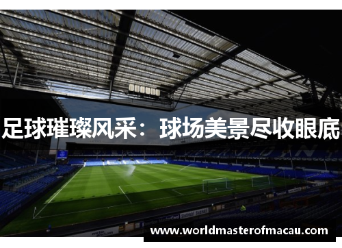 足球璀璨风采：球场美景尽收眼底