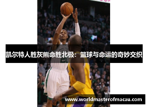 凯尔特人胜灰熊命胜北极：篮球与命运的奇妙交织